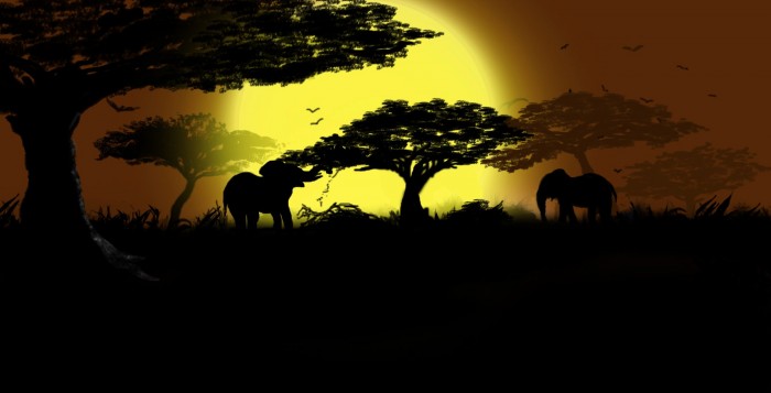 Spirit Of Africa - 