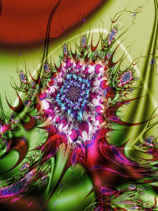Bloody Orchid - 