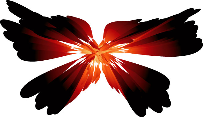 Butterfly - 