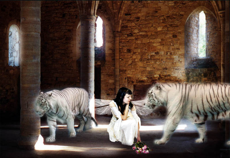 Her Sanctuary - 