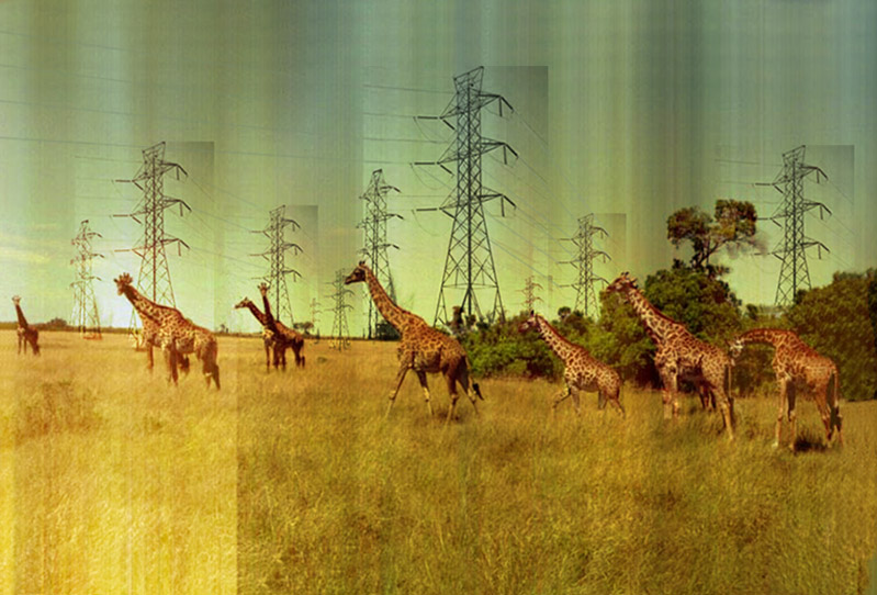 Encroachment - 