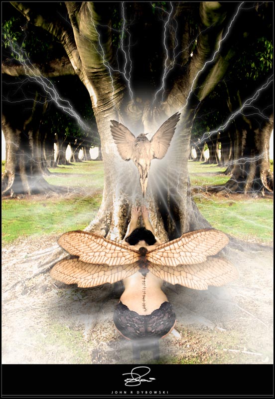 Fairy Spiritualism - 