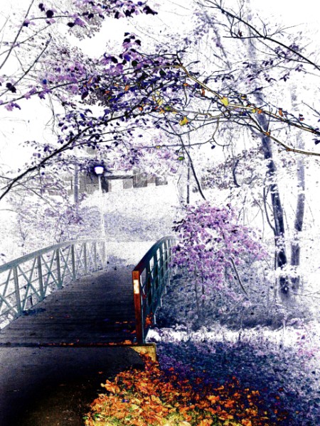 Purple Haze - 