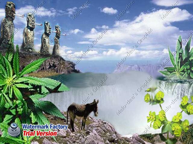 High Mountains - 
