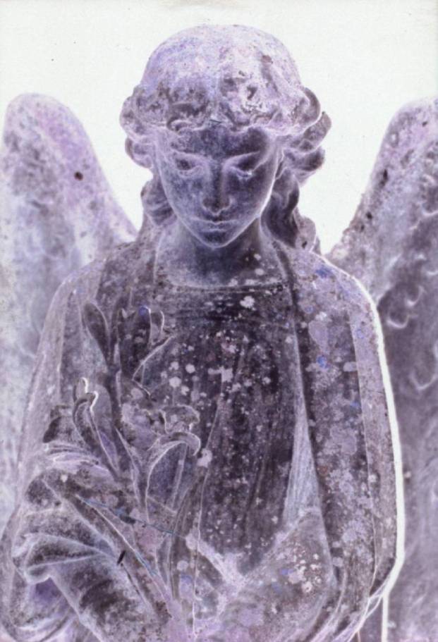 ANGEL NEGATIVE by Clare Miles