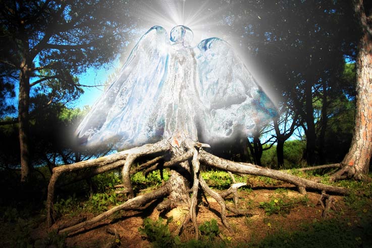 The Forest Angel - 