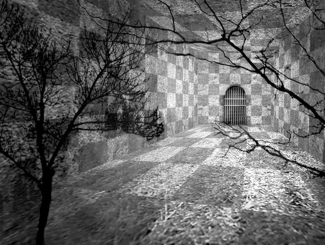 White Rabbit - 