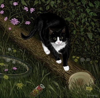 My Cat - 