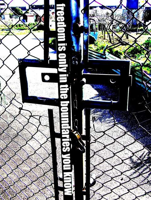Freedom - 