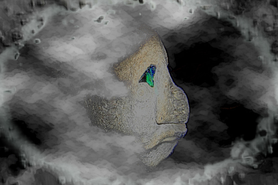 Pumice Head - 