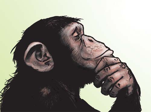 Thinky The Chimp - 