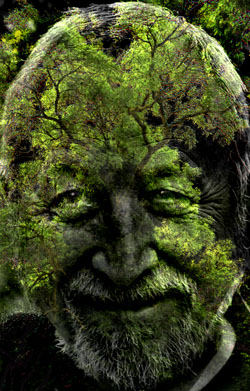 Green Man. - 