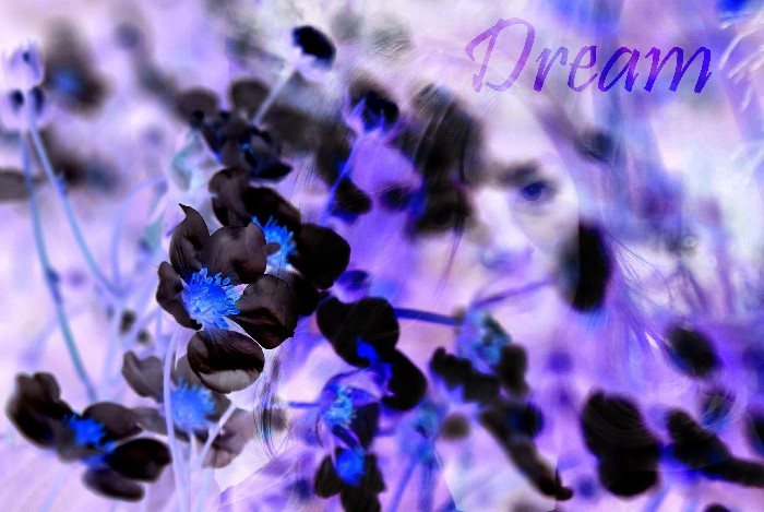 Dream - 