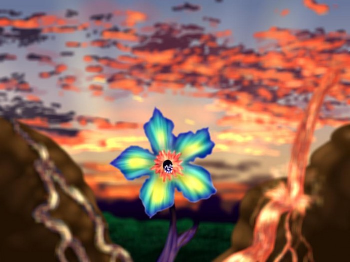 Sunrise - 