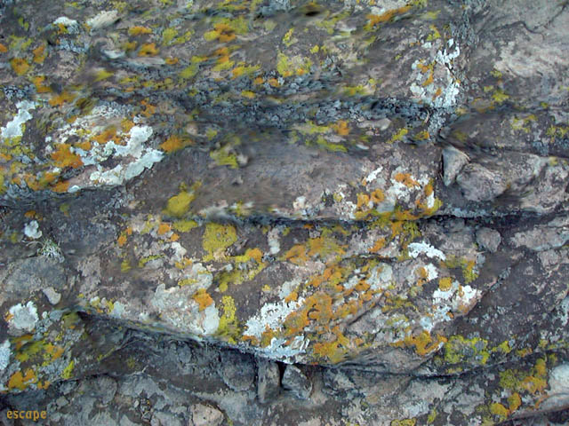 Organic Matter - 