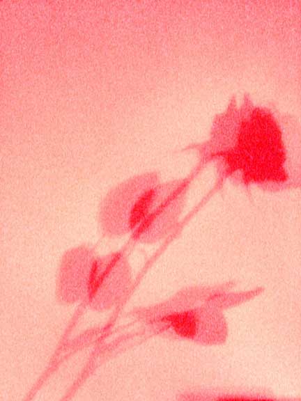 Be My Valentine - 
