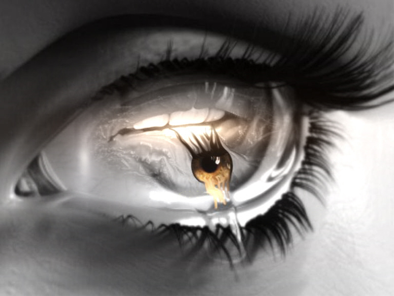 See And Feel - 