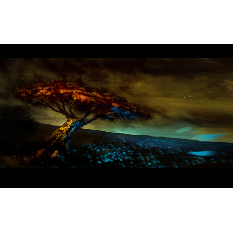 Light Flowers Valley - 