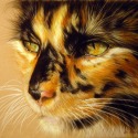 American Art Awards Winner "Tortoiseshell Cat", 20 by Danguole Serstinskaja