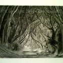 The Dark Hedges by Gary Rudisill by Gary Rudisill