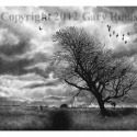 Shameless Metaphor by Gary Rudisill by Gary Rudisill