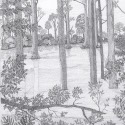 Reflections by Angela M. Stewart 