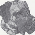 " Chunks" by Angela M. Stewart 