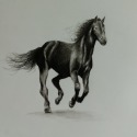 "Dark Steed" by Kemani De Armaun Simms