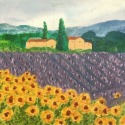 Campo di girasoli by Giorgia Belvisi