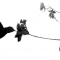 Hummingbird 1
