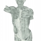 Front Torso Human Anatomy
