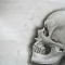 Skull of Random thought