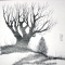 Picture 1