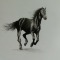 "Dark Steed"