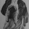 Walter