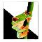 Treefrog