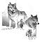 Three Wolves