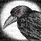 The Raven