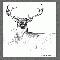 Buck