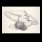 figure study