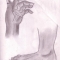Anatomy