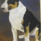 kaiser
