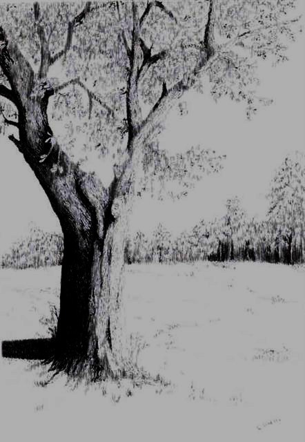 Along The Way - 