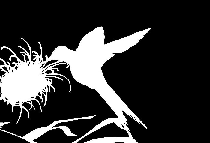 Hummingbird 2 - 