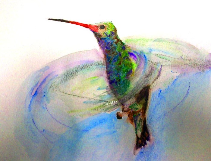 Hummingbird 3 - 