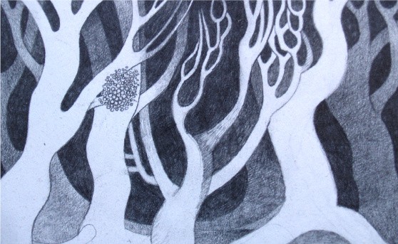 Winterwood - 