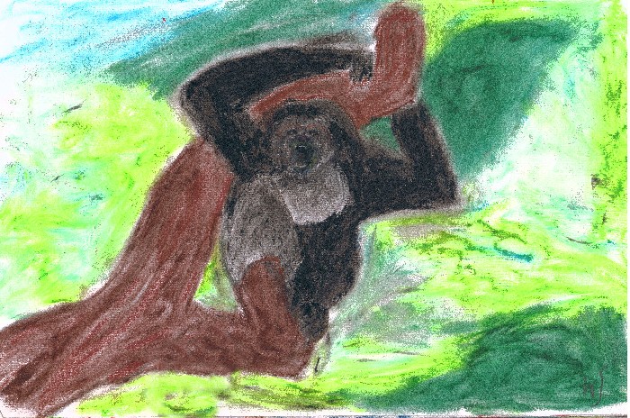 Monkey Madness - 
