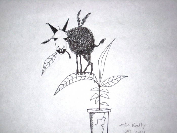 Picture 2 - 