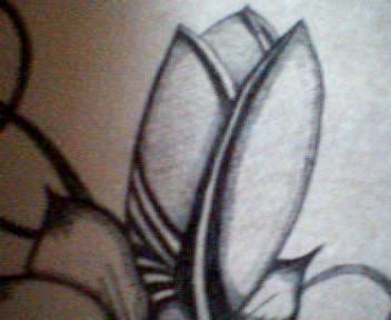 Unique Flower - 