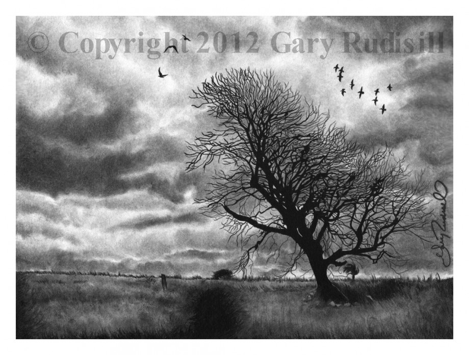 Shameless Metaphor By Gary Rudisill - 